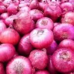 পেঁয়াজ