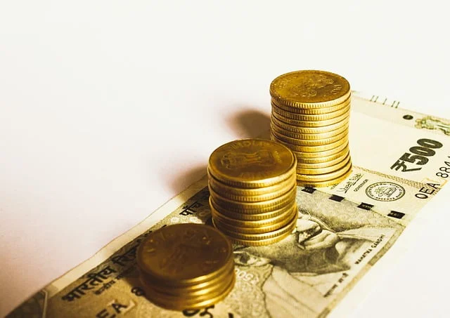 Indian rupee